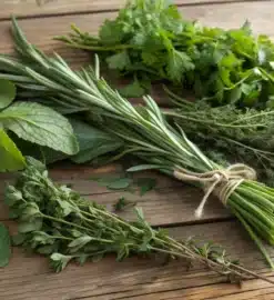 Les herbes aromatiques oubliées de la cuisine lyonnaise
